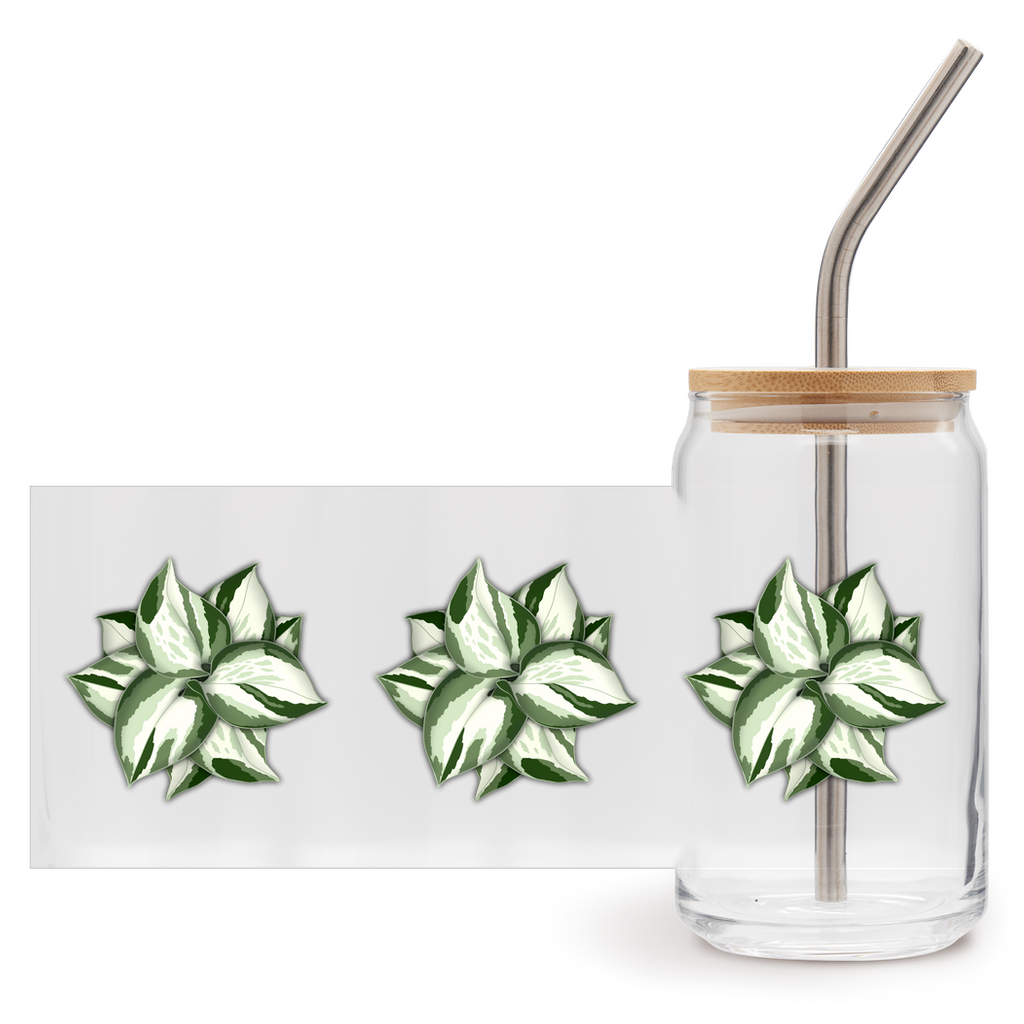 Manjula Pothos Soda Can Glass – 16 oz Tumbler With Bamboo Lid And Straw