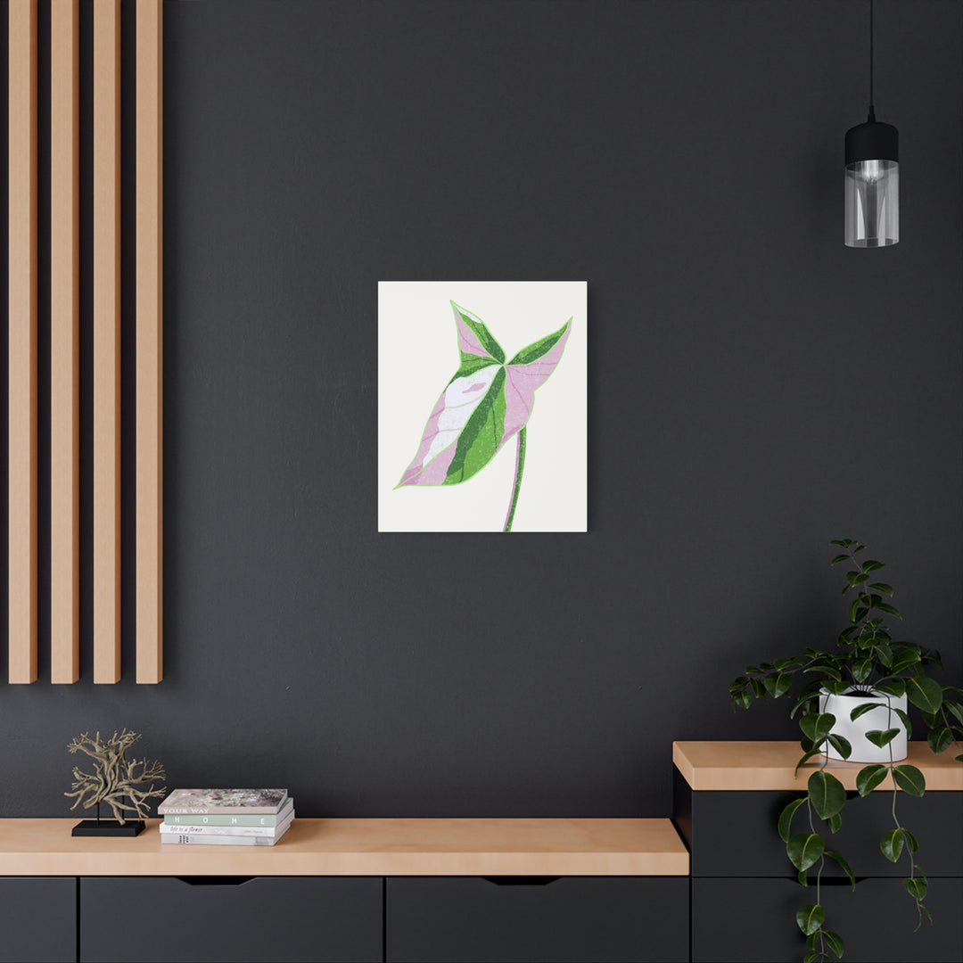 Syngonium Tricolor Canvas Print – Botanical Wall Art - The Potted Pixel