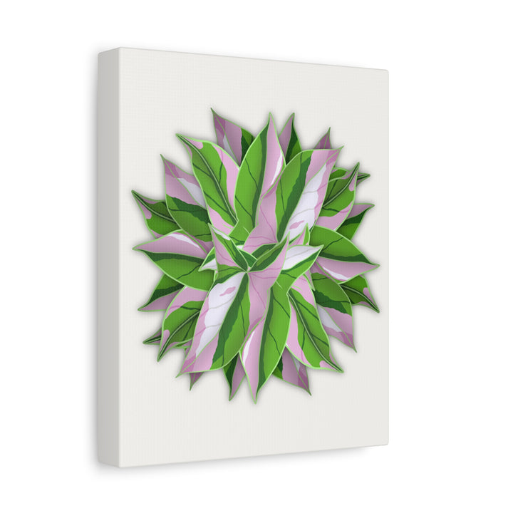 Syngonium Tricolor Canvas Print – Botanical Wall Art - The Potted Pixel