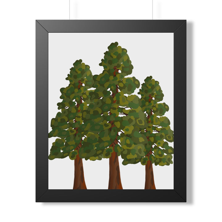 Coastal Redwood Framed Print – Wall Art