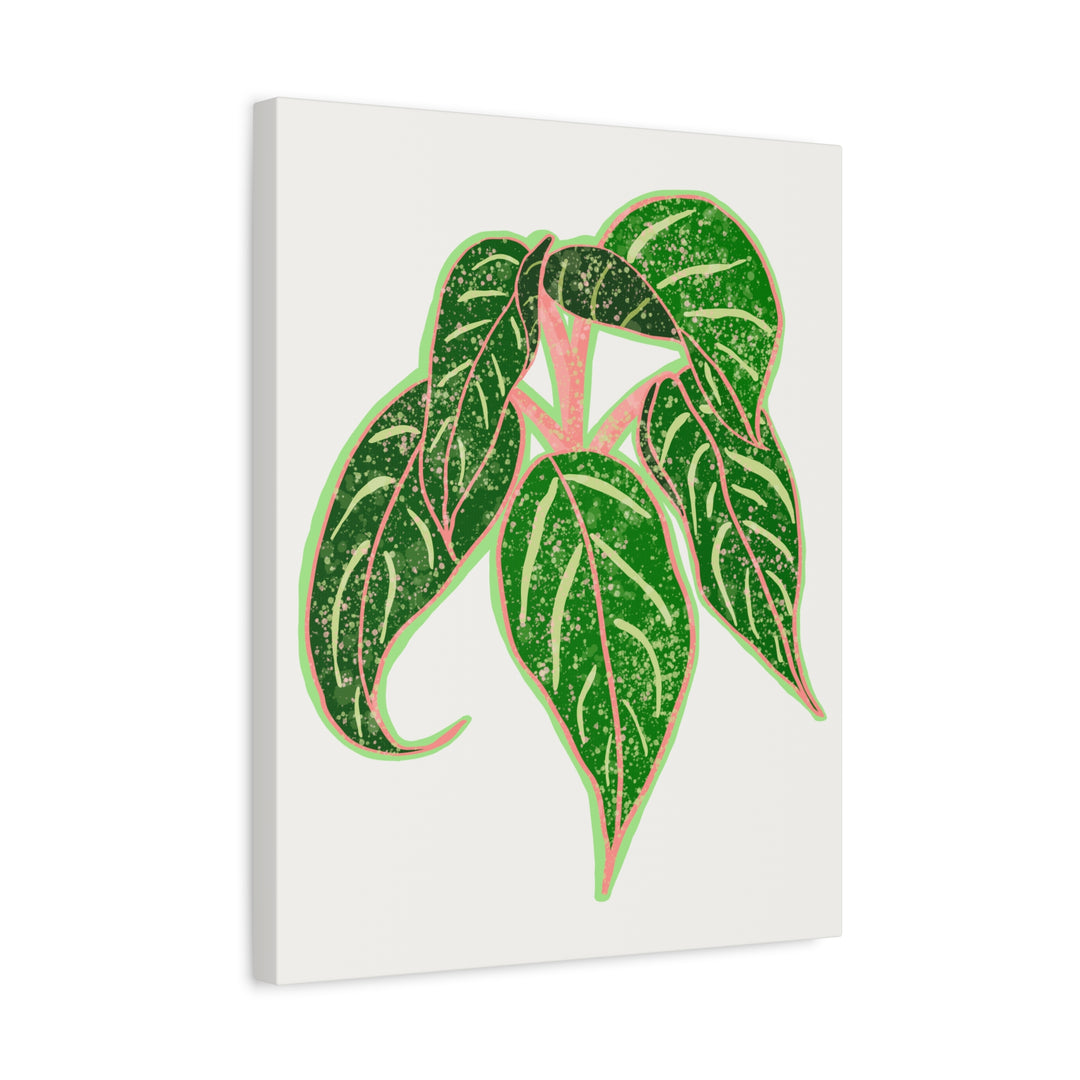Aglaonema Sparkling Sarah Botanical Canvas Print On Matte Stretch Canvas For Modern Living Room Decor