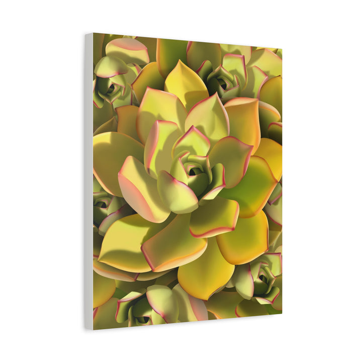Succulent Canvas Art Vibrant Aeonium Print On Matte Canvas Wall Decor 12x18 Inches Indoor Home