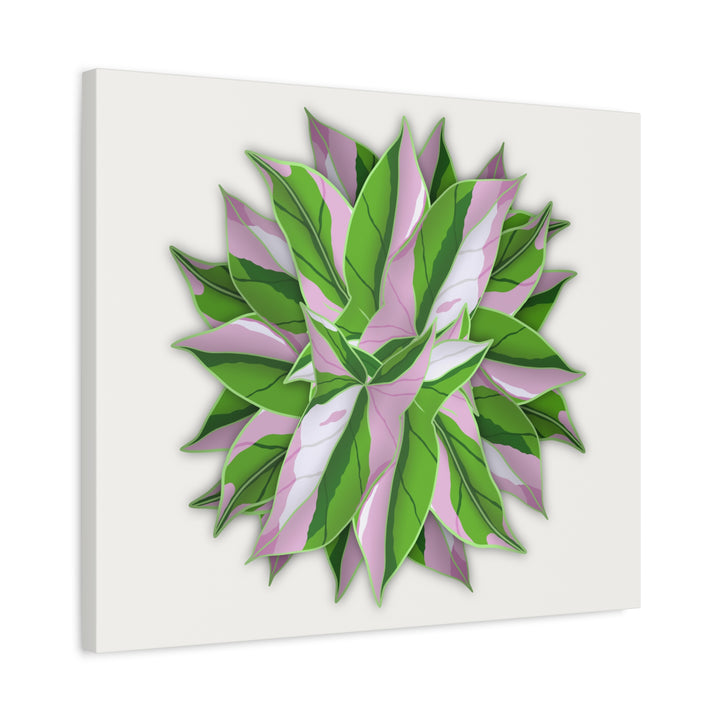 Syngonium Tricolor Canvas Print – Botanical Wall Art - The Potted Pixel