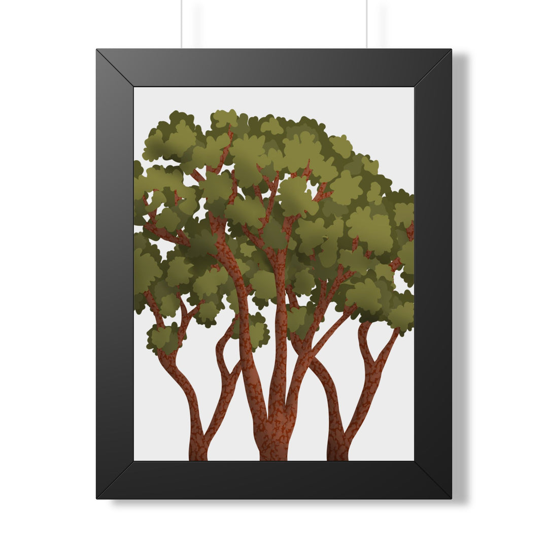 Pacific Madrone Framed Print – Wall Art
