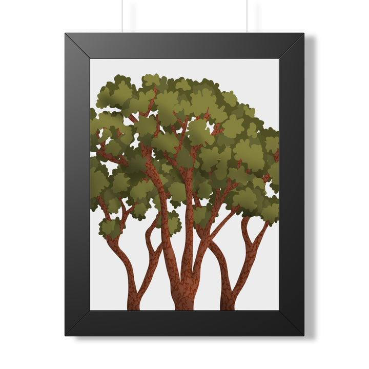 Pacific Madrone Framed Print – Wall Art