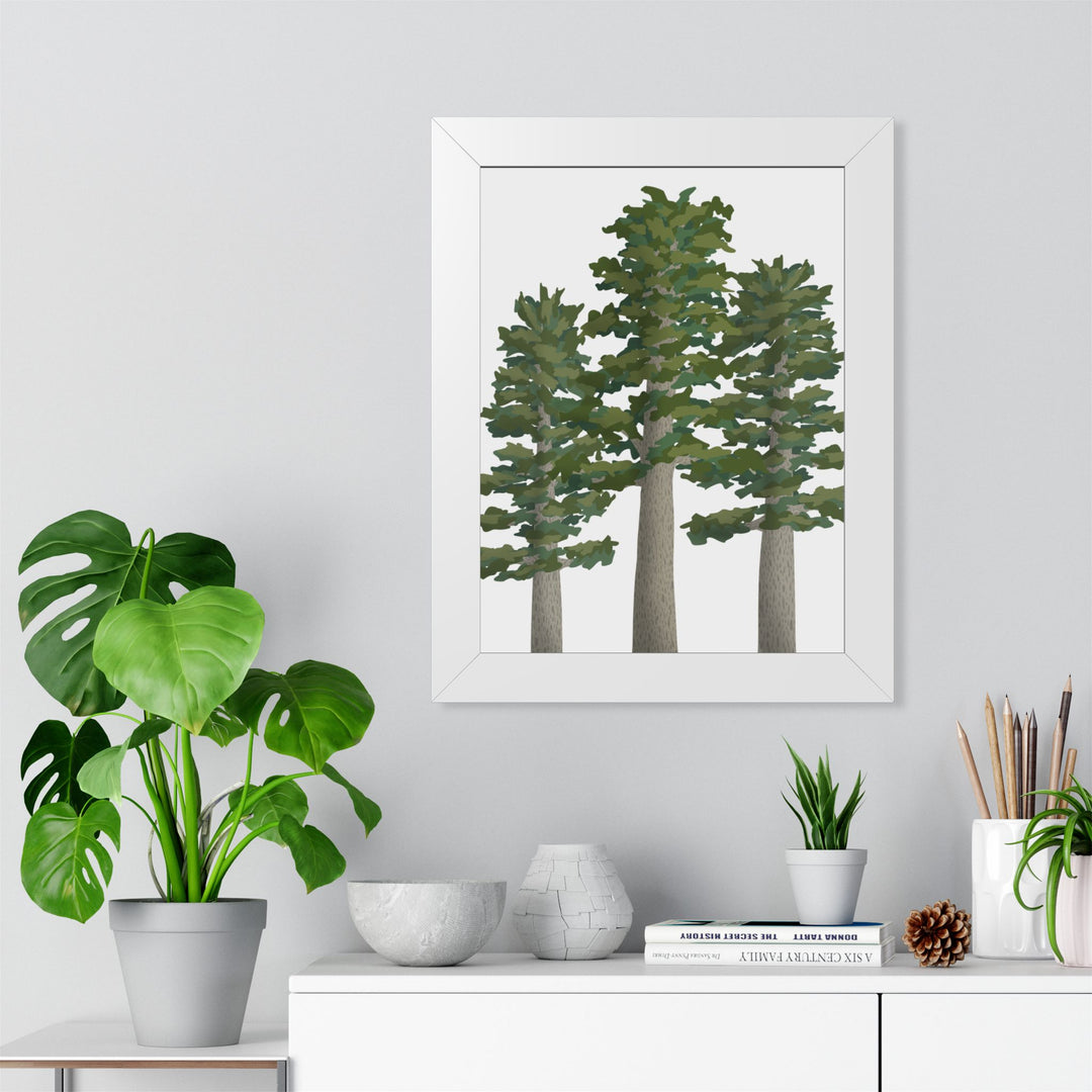 Sitka Spruce Framed Print – Wall Art