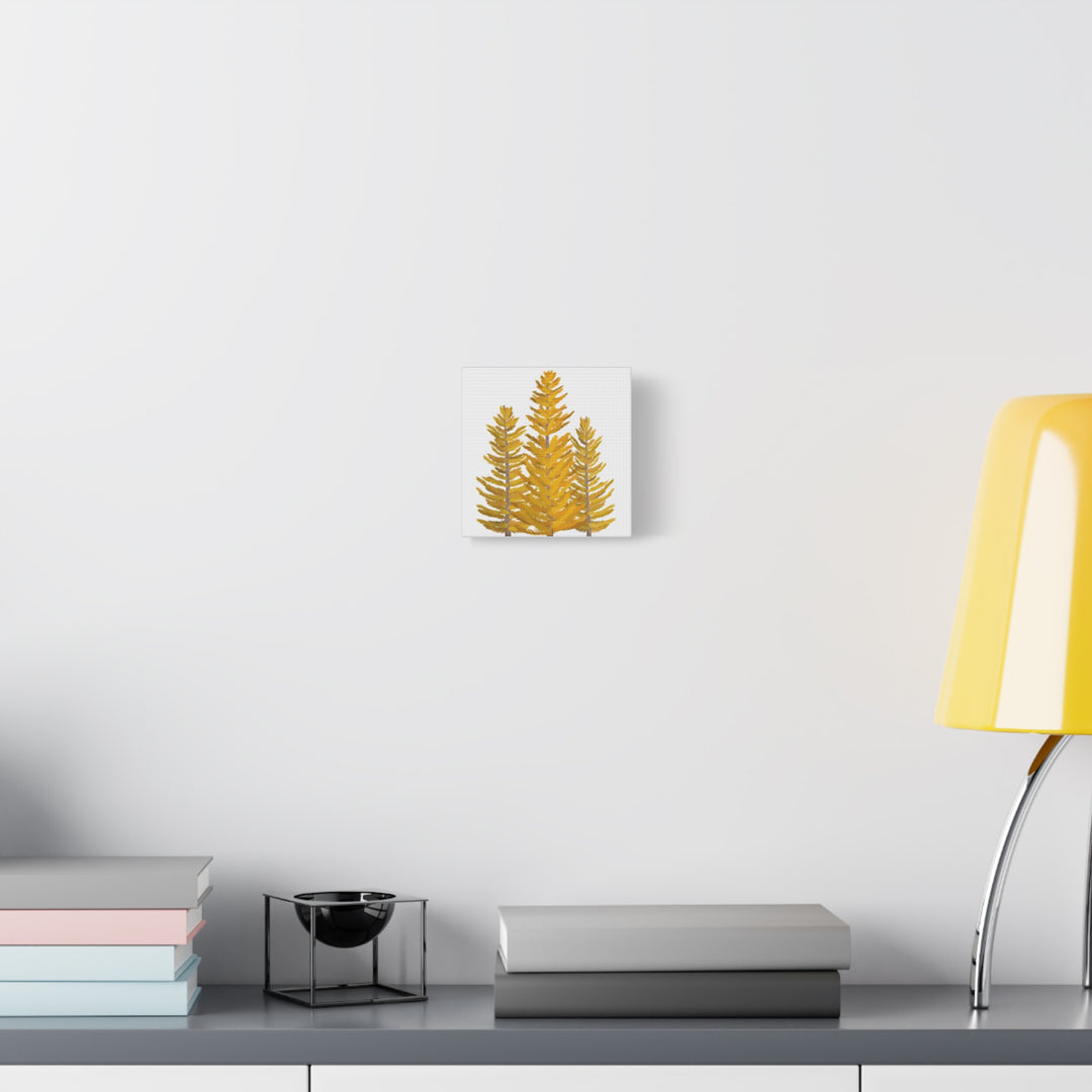Western Larch Canvas Print – Wall Art