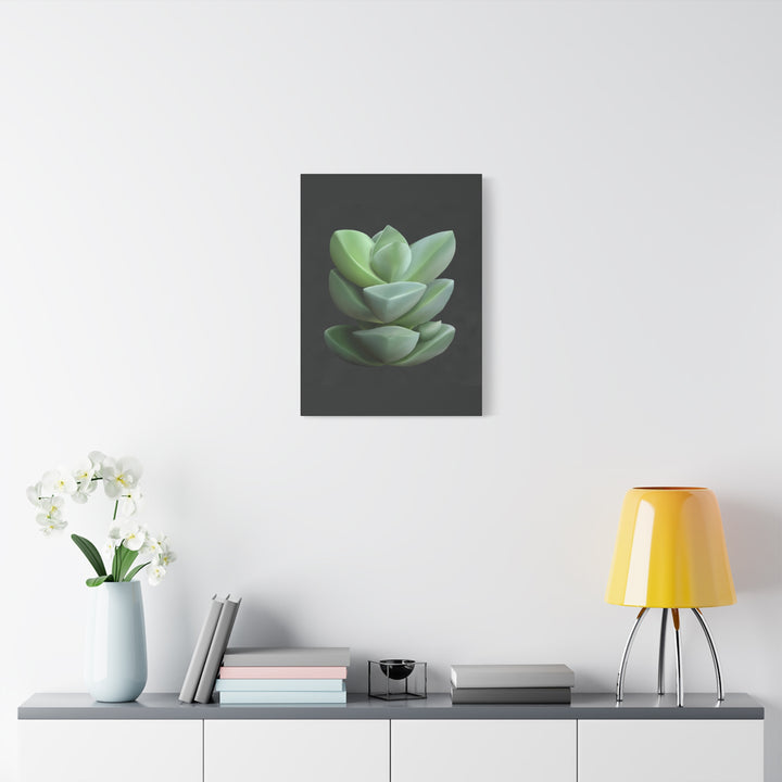 Crassula Canvas Print – Botanical Wall Art