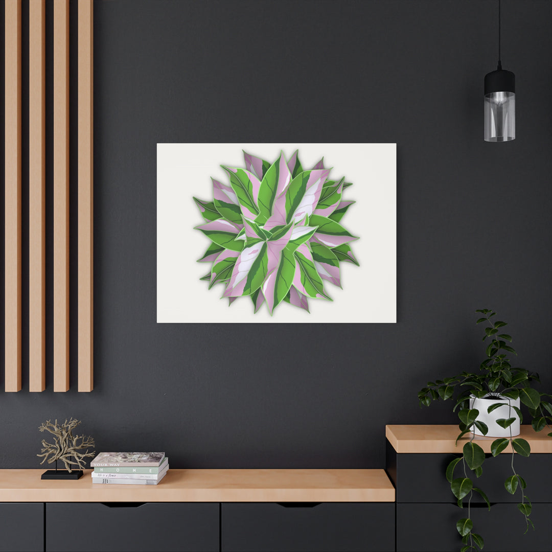 Syngonium Tricolor Canvas Print – Botanical Wall Art - The Potted Pixel