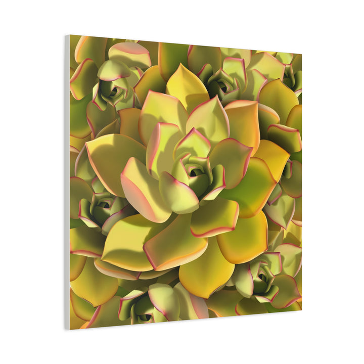 Succulent Canvas Art Vibrant Aeonium Print On Matte Canvas Wall Decor 12x18 Inches Indoor Home