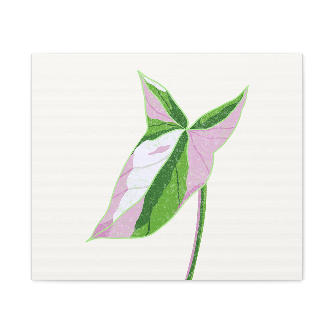 Syngonium Tricolor Canvas Print – Botanical Wall Art - The Potted Pixel