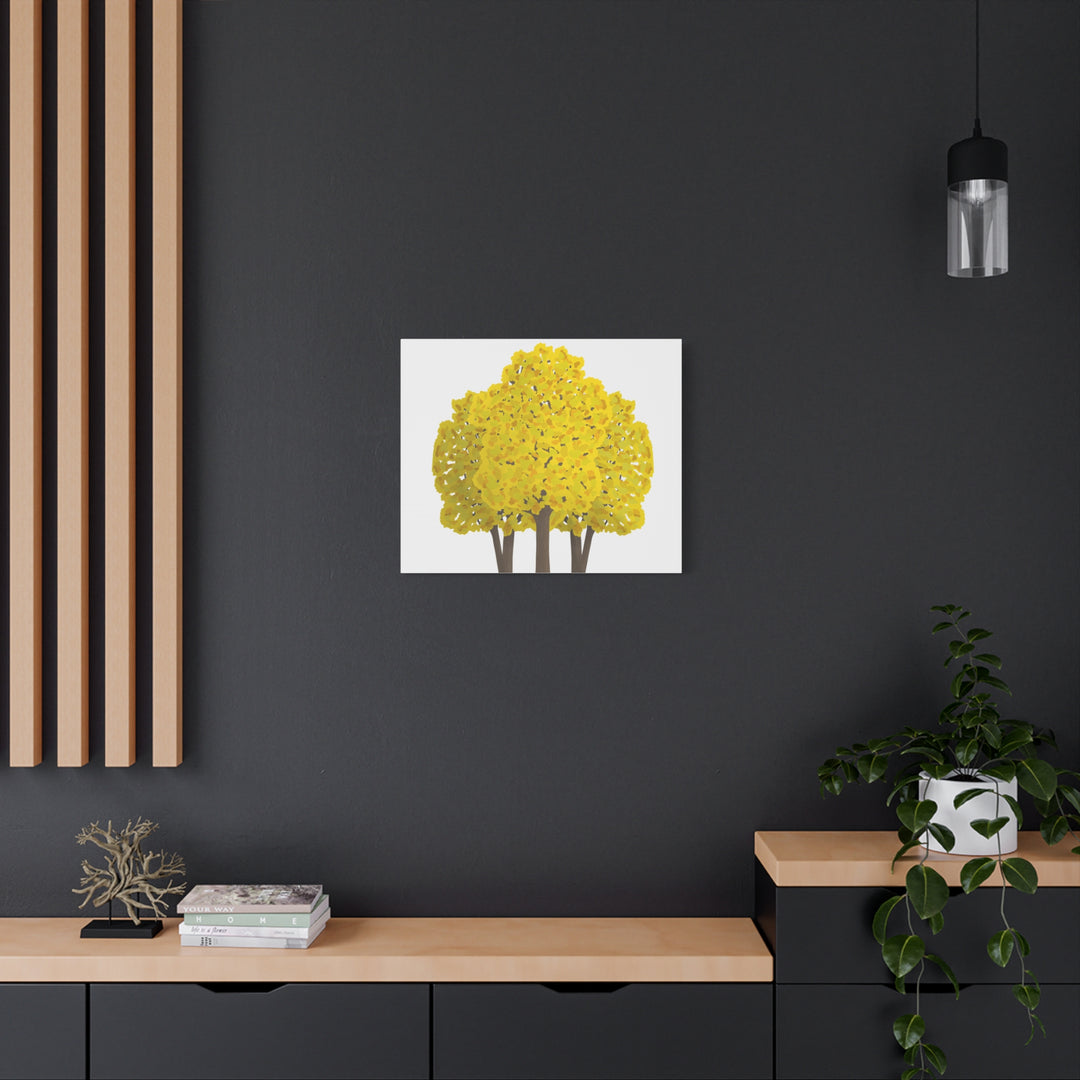 Big Leaf Maple Canvas Print – Wall Art