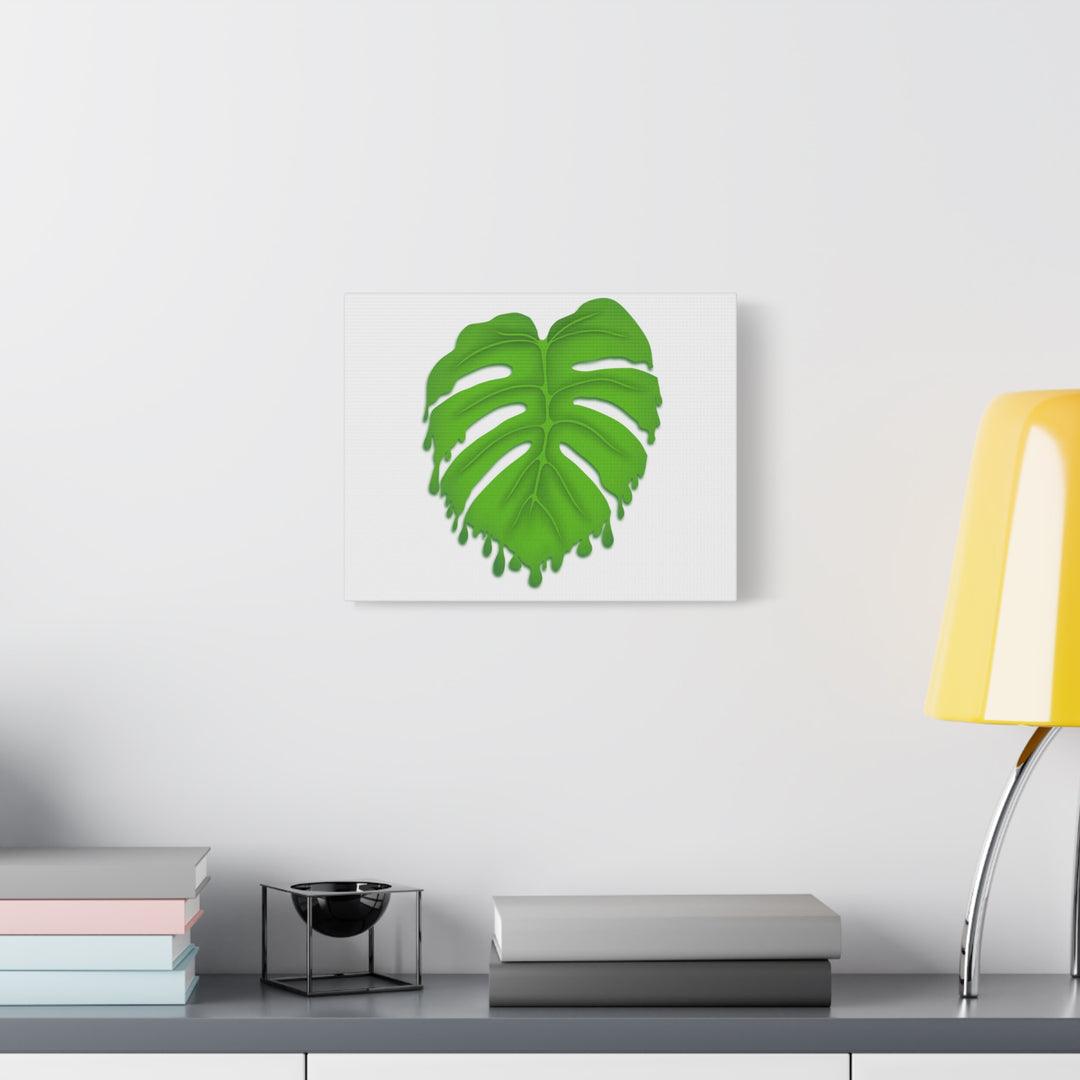 Melting Monstera Canvas Wall Art Large Botanical Print On Premium Cotton With Matte Finish For Indoor Decor