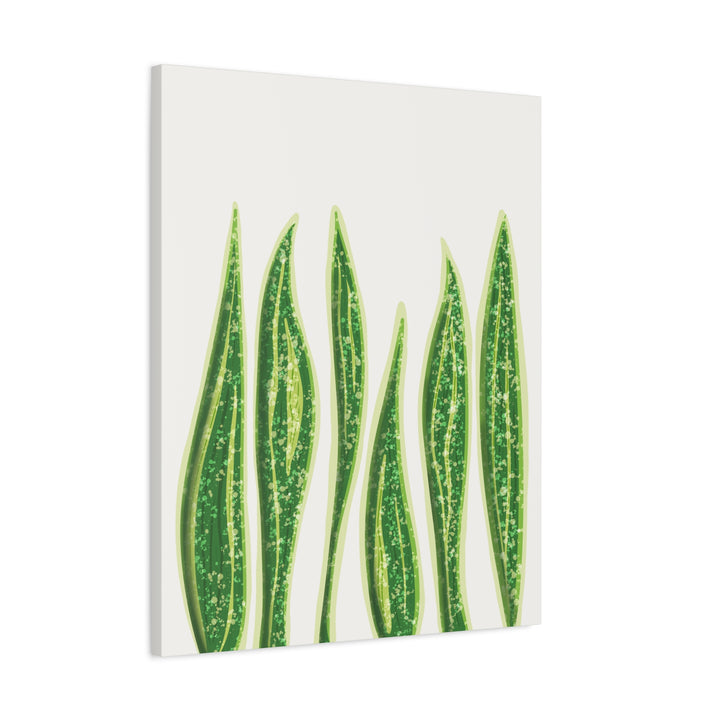 Snake Plant Canvas Print Matte 1.25 Inch Stretch Canvas Wall Art For Living Room Decor