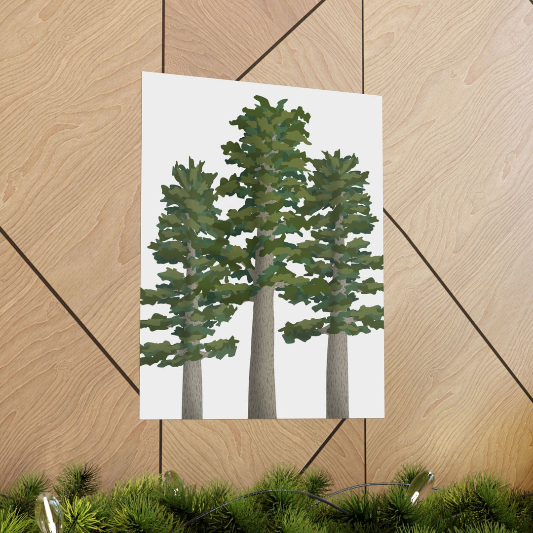 Sitka Spruce Print – Unframed Wall Art