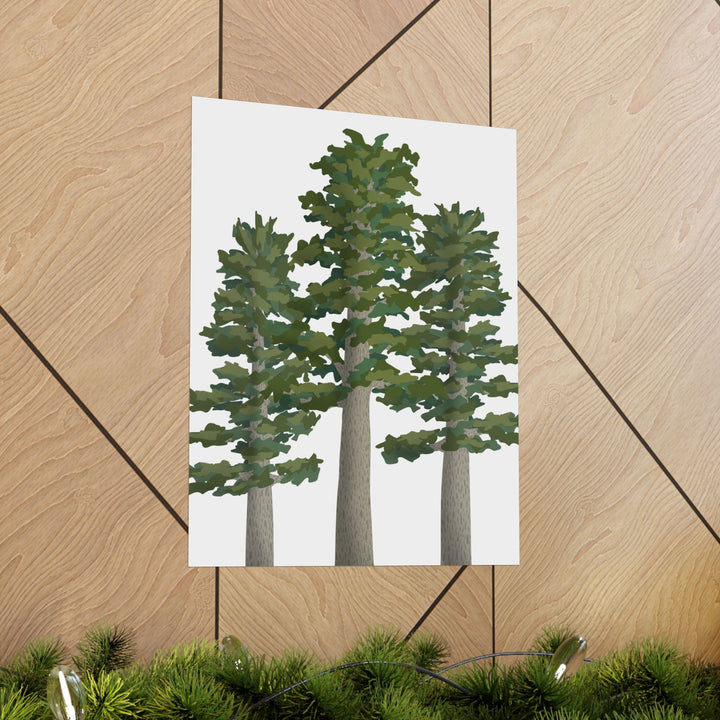 Sitka Spruce Print – Unframed Wall Art