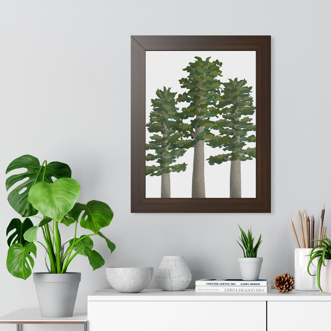 Sitka Spruce Framed Print – Wall Art