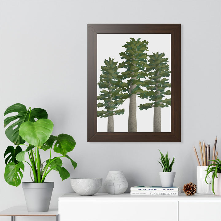 Sitka Spruce Framed Print – Wall Art