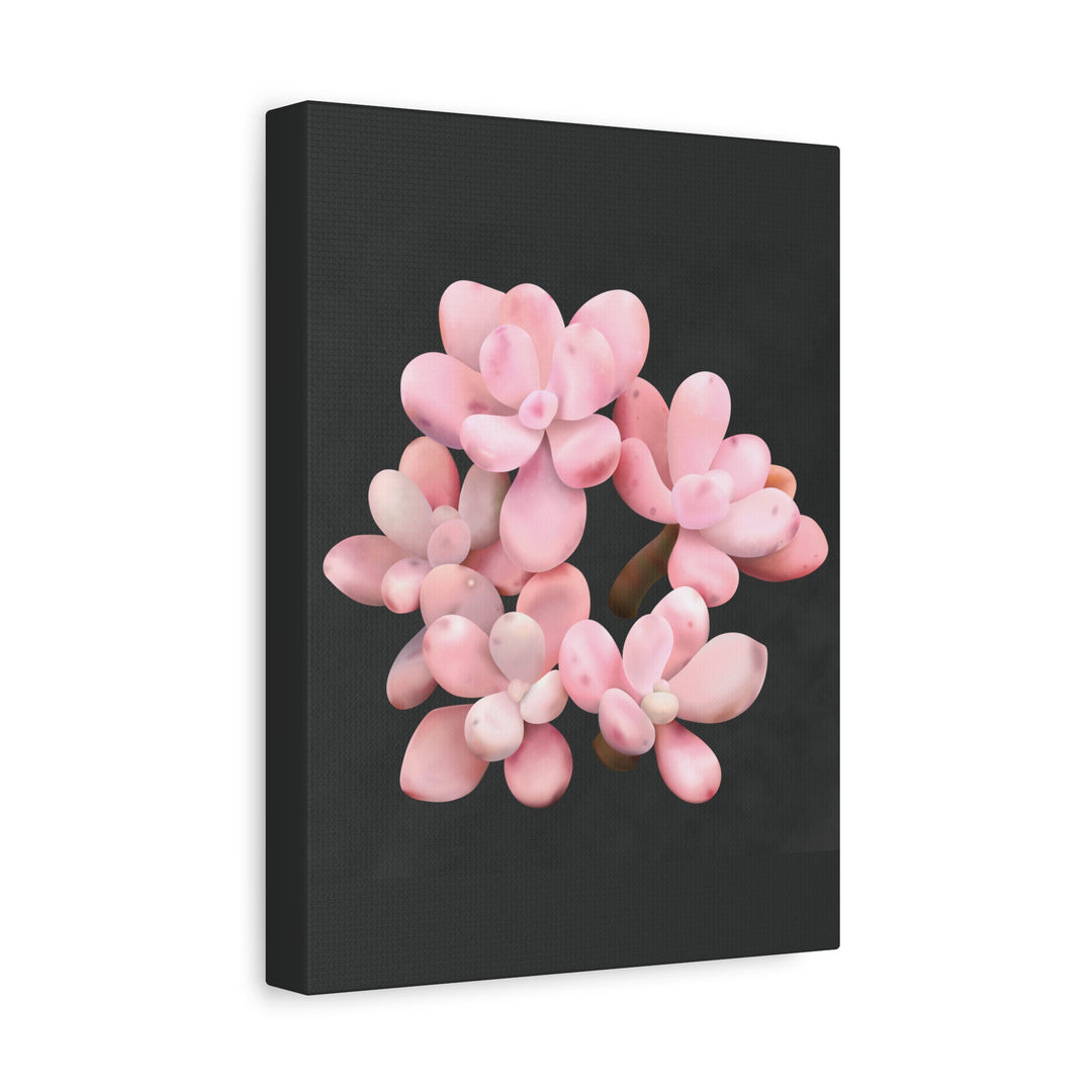 Pink Moonstone Canvas Print – Botanical Wall Art