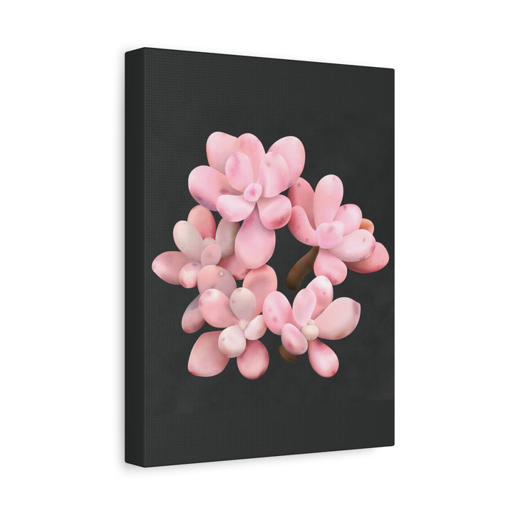 Pink Moonstone Canvas Print – Botanical Wall Art