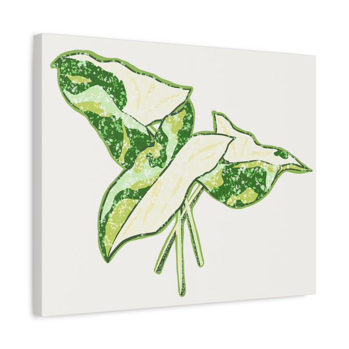 Marble Syngonium Canvas Botanical Wall Art Stretched Print On Durable Cotton Canvas Matte Finish