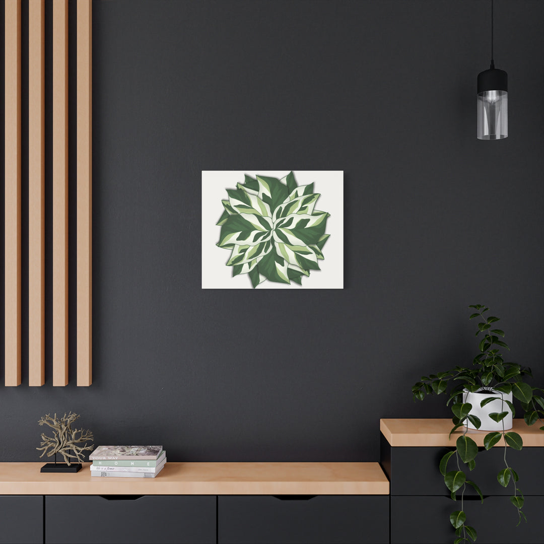 Calathea White Fusion Canvas Botanical Art Print On Stretched Cotton Canvas For Indoor Wall Decor