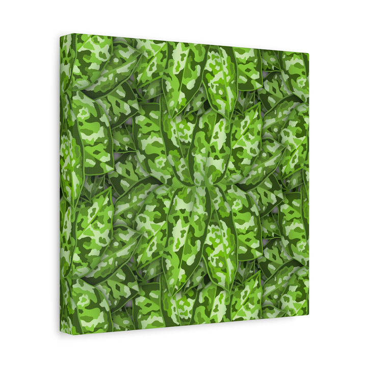 Aglaonema Pictum Canvas Wall Art Rare Plant Print Matte Finish For Modern Home Decor