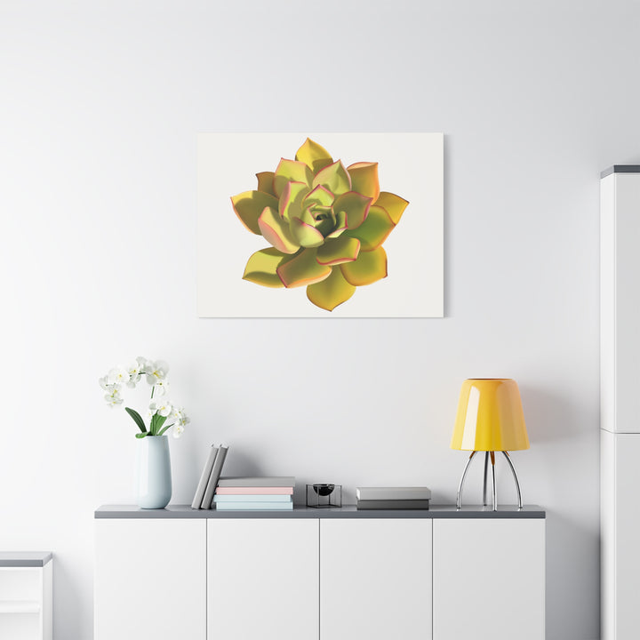 Noble Aeonium Succulent Canvas Wall Art Print for Modern Home Decor by The Potted Pixel
