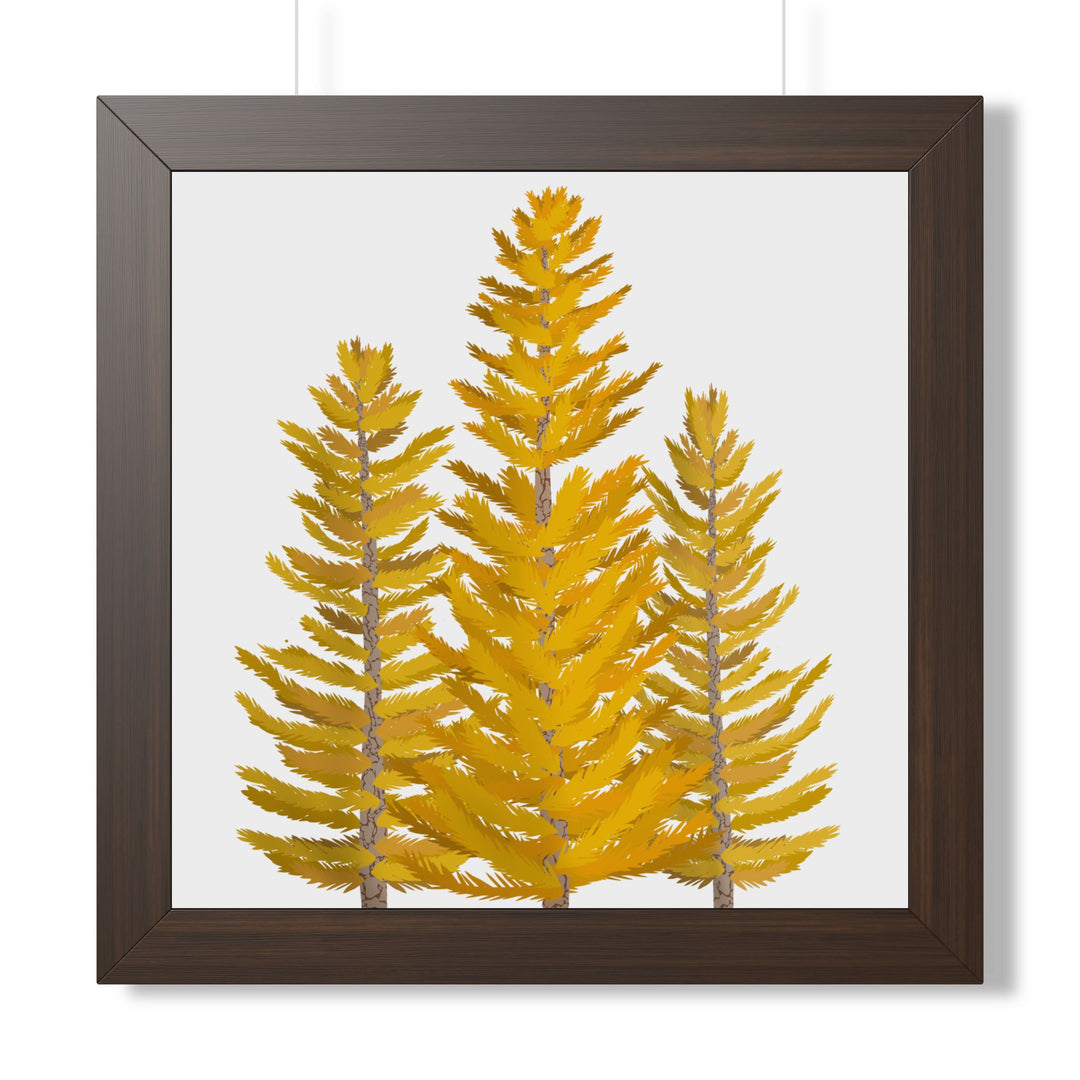Western Larch Framed Print – Wall Art