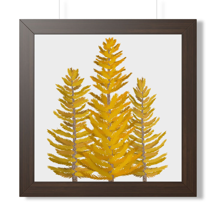 Western Larch Framed Print – Wall Art