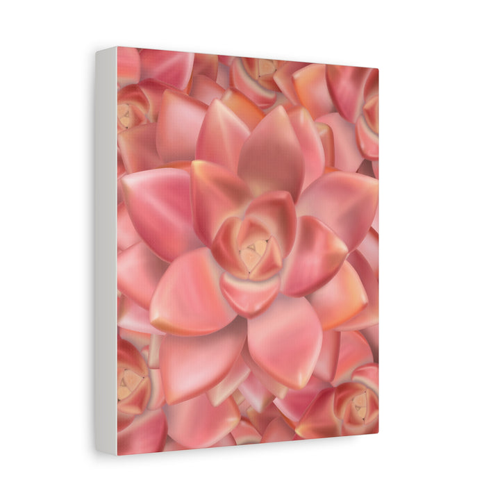 Graptosedum California Sunset Succulent Canvas Print – Botanical Wall Art - The Potted Pixel