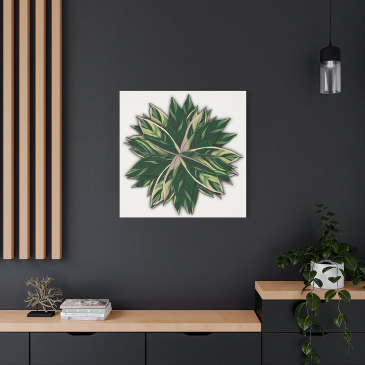 Stromanthe Triostar Canvas Wall Art Premium Matte Finish On Durable 1.25 Inch Frame For Vibrant Indoor Tropical Decor