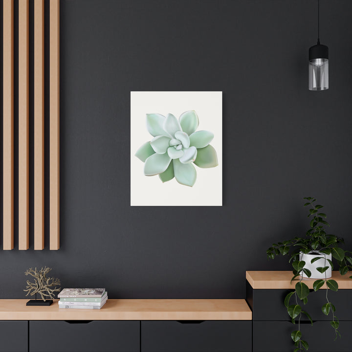 Succulent Canvas Art Pachyveria Haagei Print On Matte Finish Canvas Botanical Wall Decor