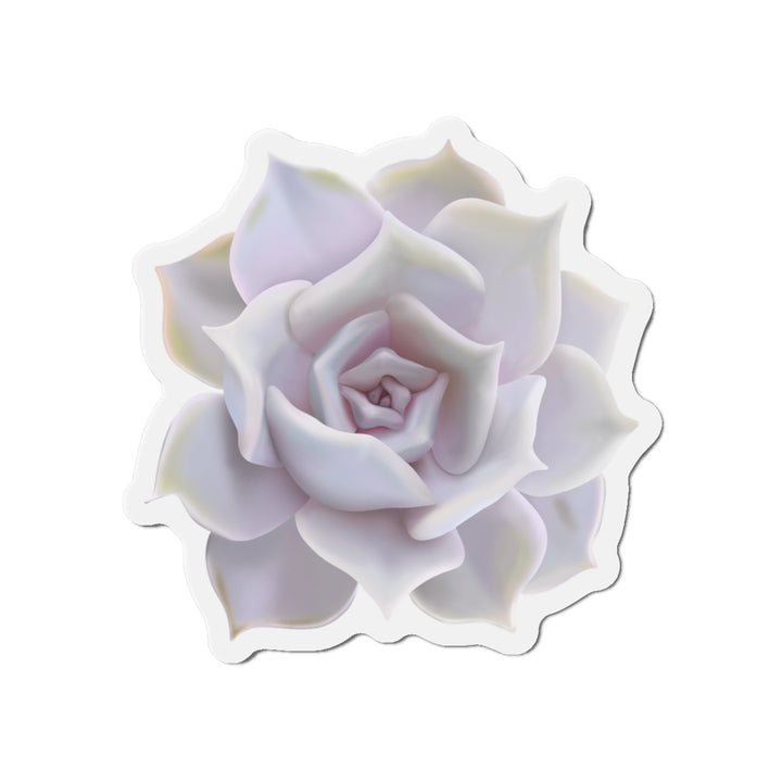Echeveria Lilacina Succulent Magnet
