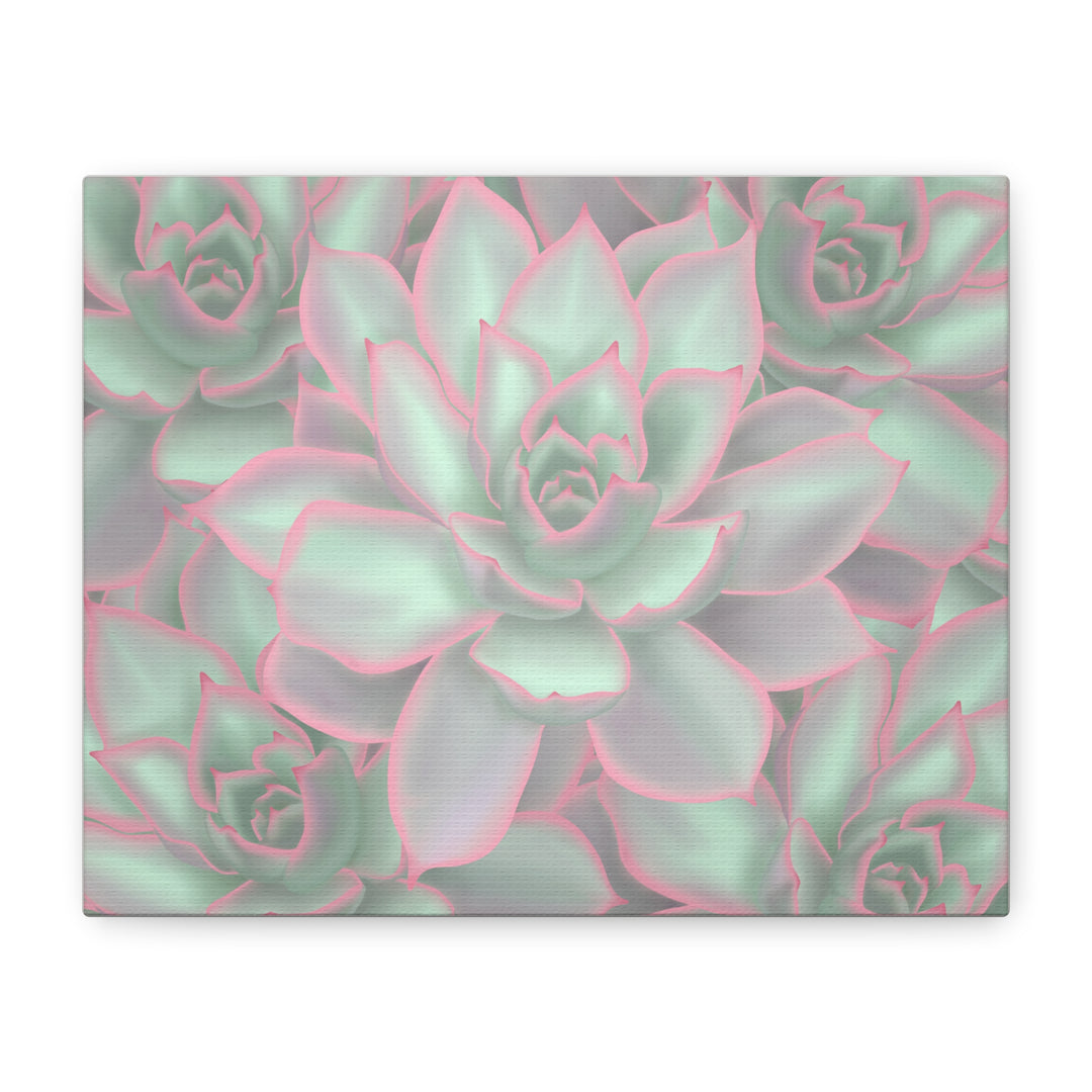 Echeveria Violet Queen Canvas Wall Art Succulent Print Matte Botanical Decor For Indoor Spaces