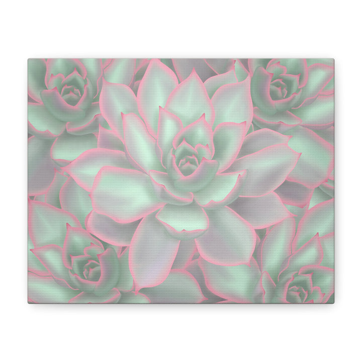 Echeveria Violet Queen Canvas Wall Art Succulent Print Matte Botanical Decor For Indoor Spaces