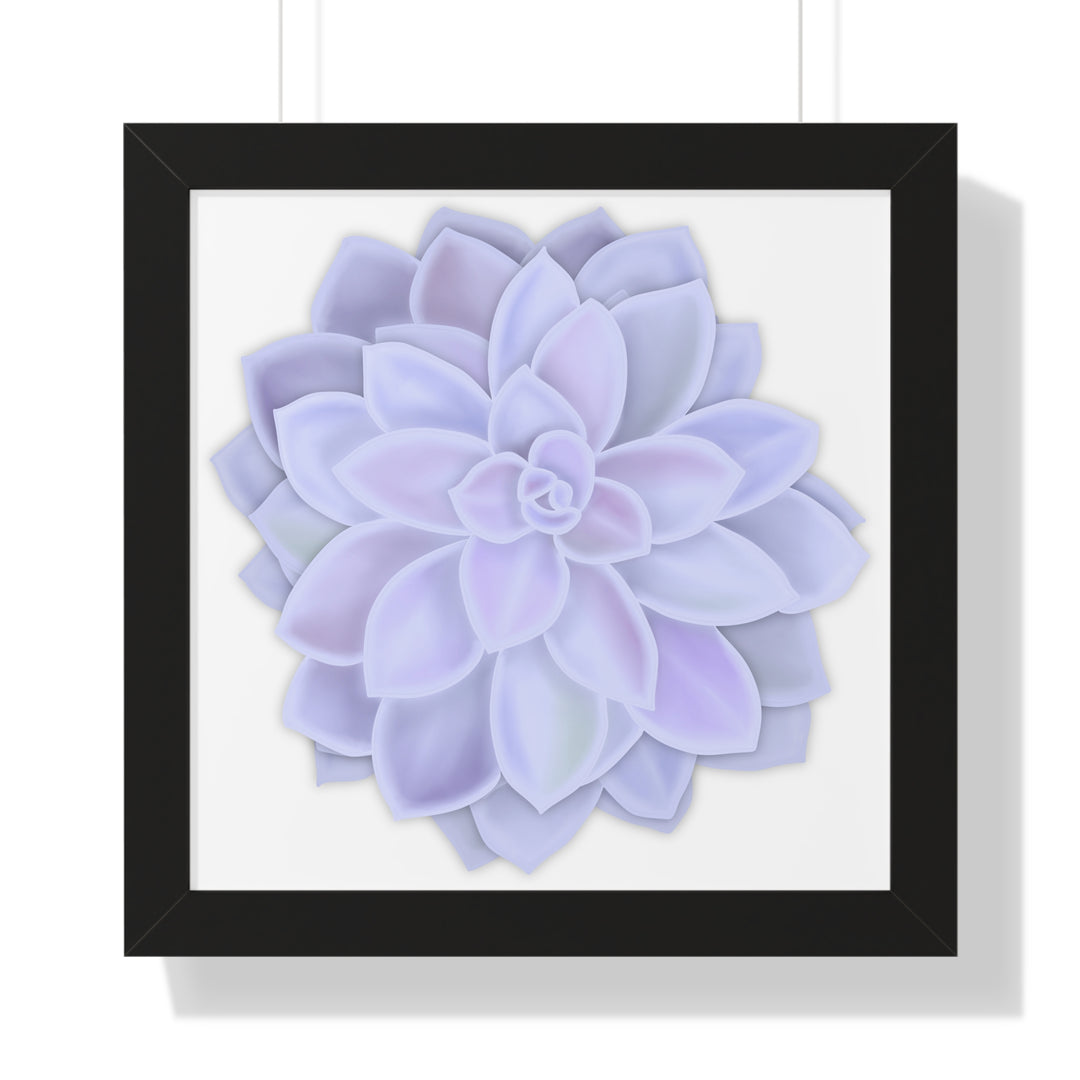 Graptopetalum Murasaki Succulent Framed Print – Botanical Wall Art - The Potted Pixel