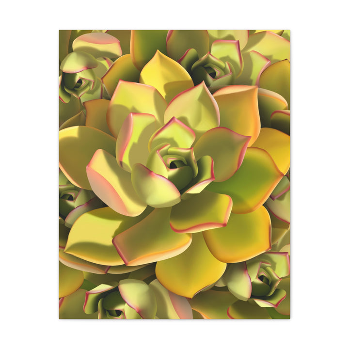 Succulent Canvas Art Vibrant Aeonium Print On Matte Canvas Wall Decor 12x18 Inches Indoor Home