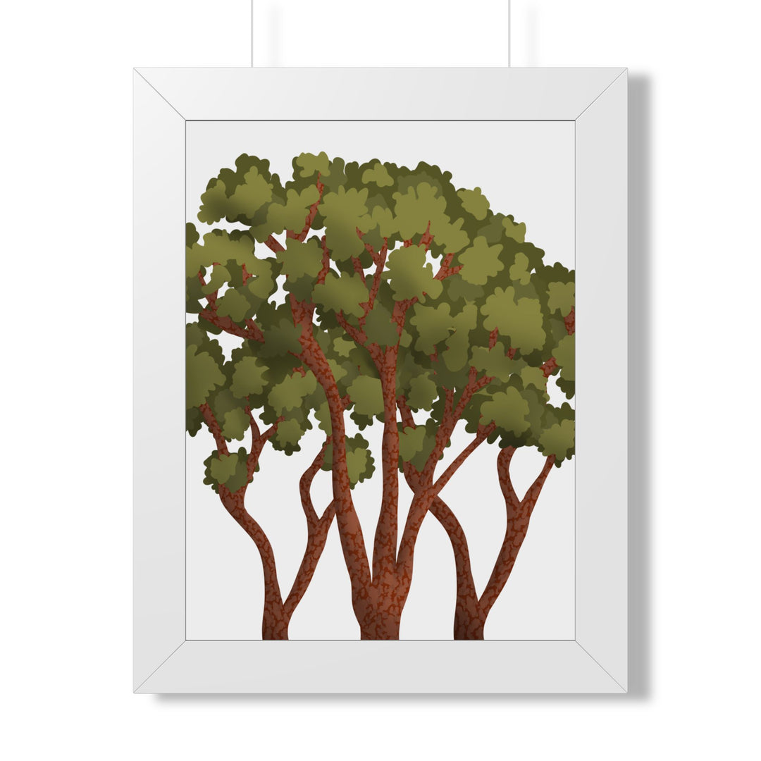 Pacific Madrone Framed Print – Wall Art