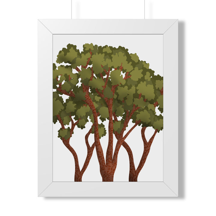 Pacific Madrone Framed Print – Wall Art