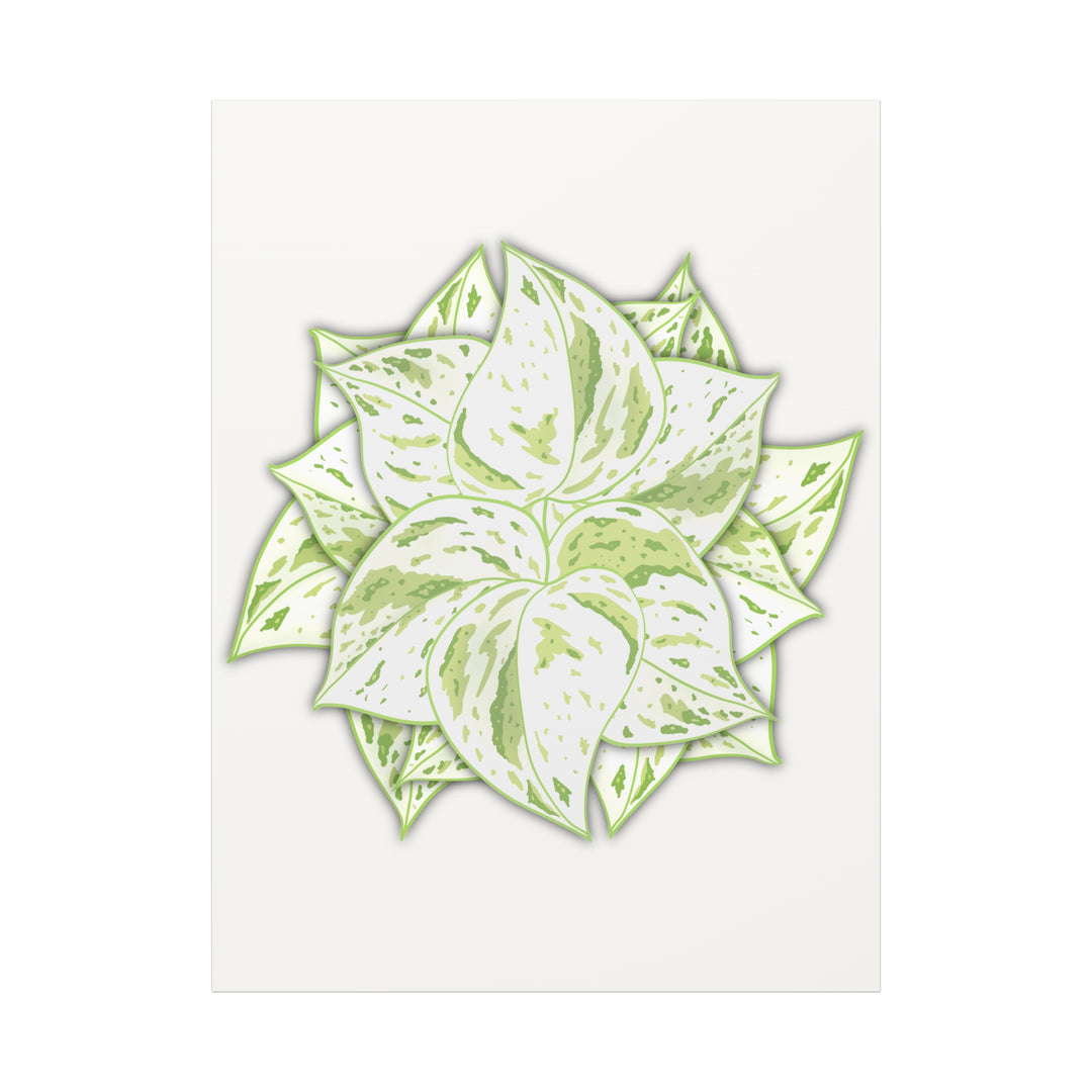 Snow Queen Pothos Canvas Wall Art Variegated Indoor Plant Leaf Poster Print Cotton Canvas