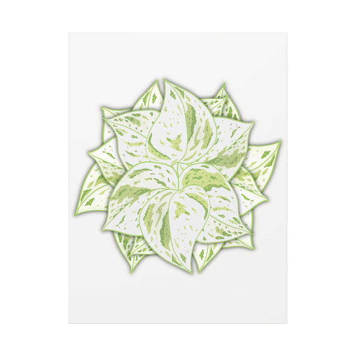 Snow Queen Pothos Canvas Wall Art Variegated Indoor Plant Leaf Poster Print Cotton Canvas