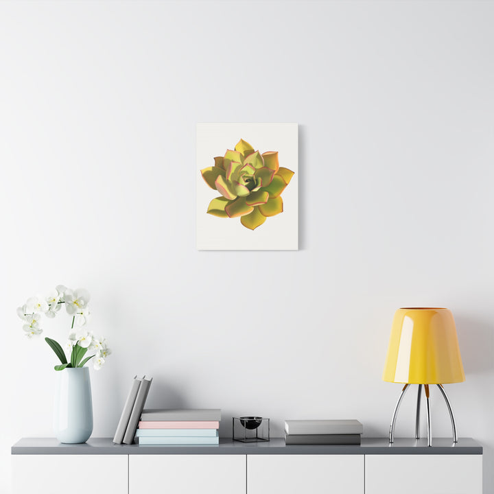 Noble Aeonium Succulent Canvas Wall Art Print for Modern Home Decor by The Potted Pixel