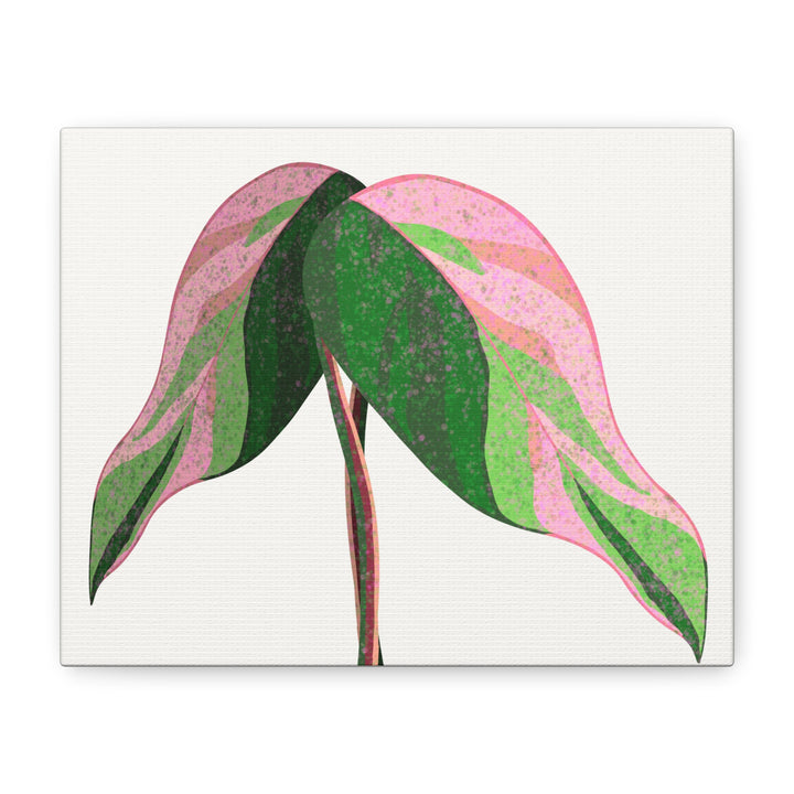 Pink Princess Philodendron Canvas Print Botanical Wall Art For Indoor Decor Modern Living Room Poster