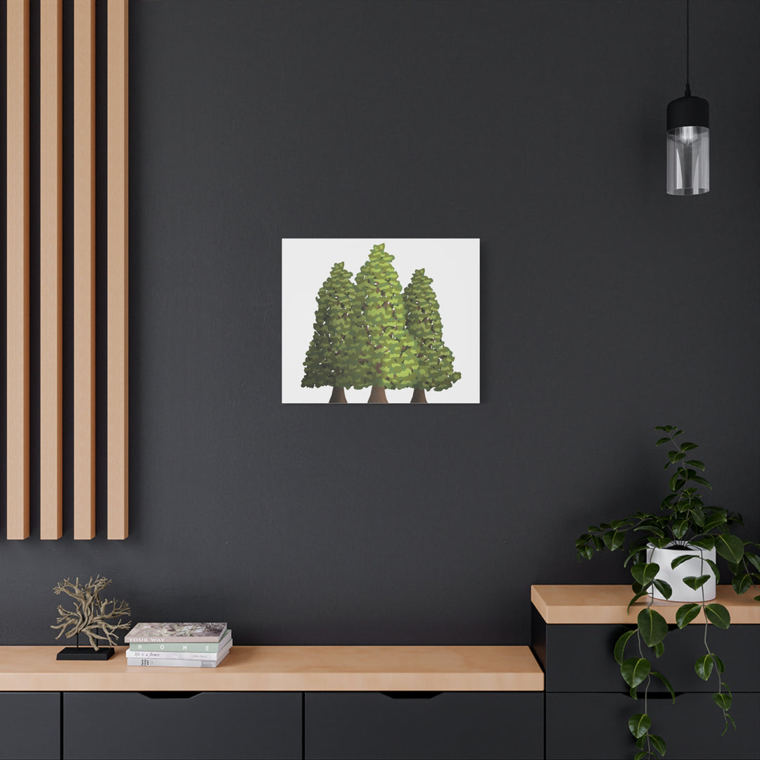 Incense Cedar Canvas Print – Wall Art