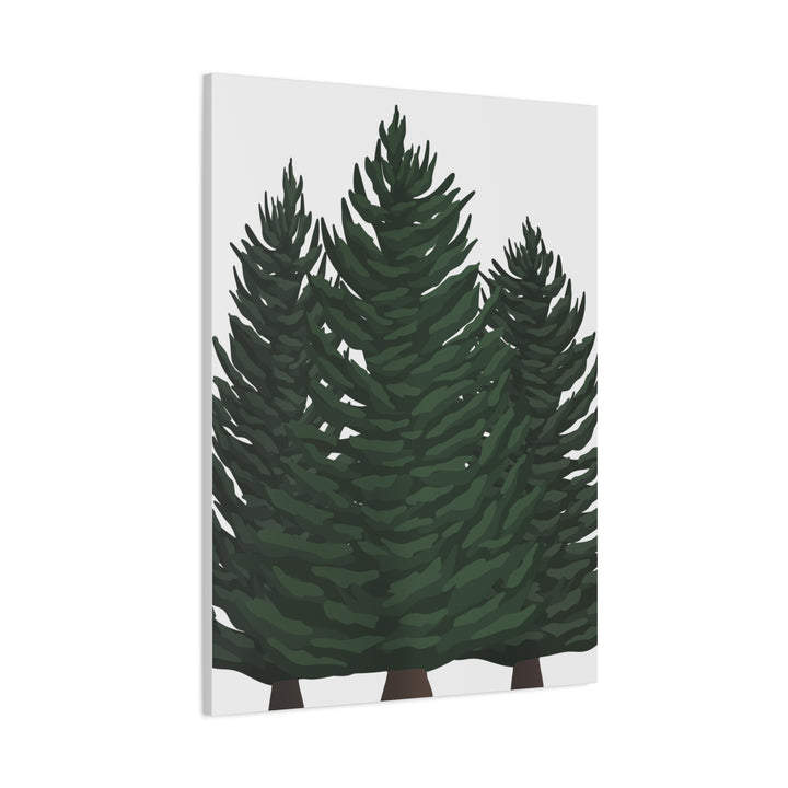 Douglas Fir Canvas Print – Wall Art