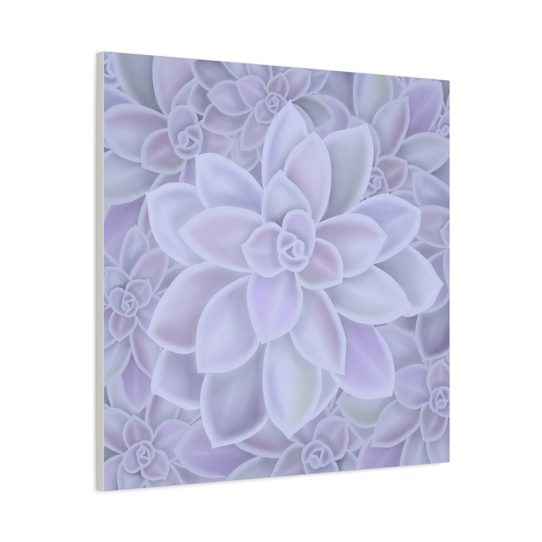 Graptopetalum Murasaki Succulent Canvas Art Print Pastel Purple Rosette Indoor Plant Decor