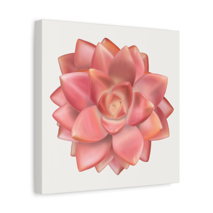 Succulent Canvas Art California Sunset Rosette Botanical Wall Art Print The Potted Pixel