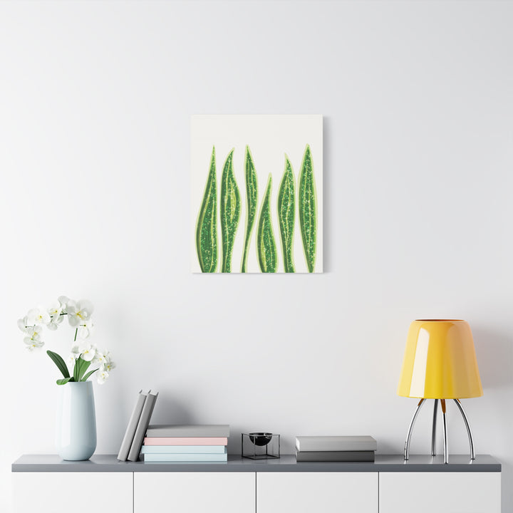 Snake Plant Canvas Print Matte 1.25 Inch Stretch Canvas Wall Art For Living Room Decor