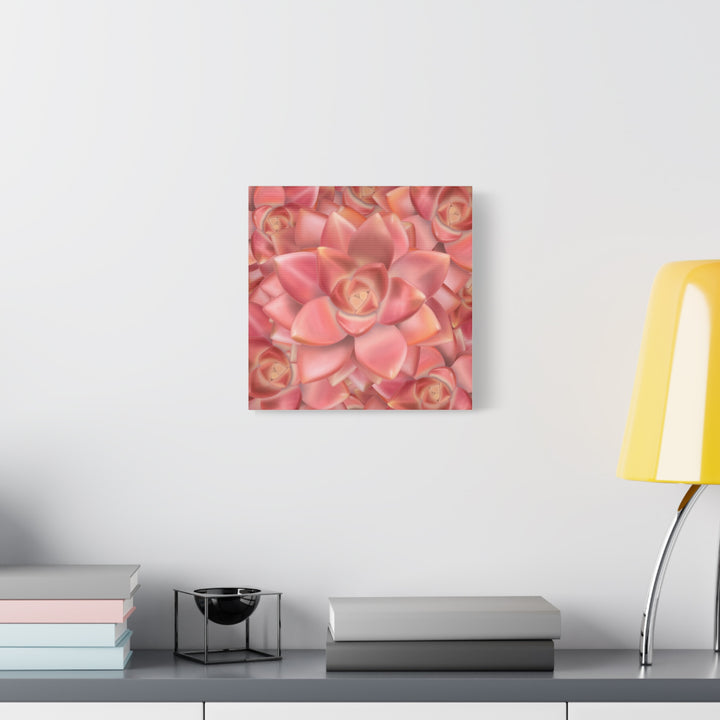 Graptosedum California Sunset Succulent Canvas Print – Botanical Wall Art - The Potted Pixel
